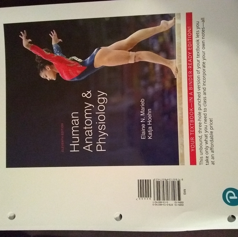 Anatomy and physiology loose-leaf